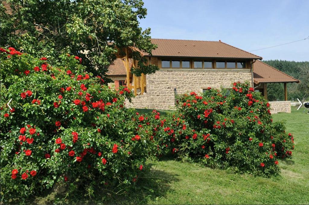 Les Perruchons Ancienne Grange Renovee Avec Soin Villa Ozolles Room photo